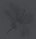 F_NAV