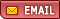 P_EMAIL