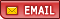 P_EMAIL